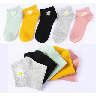 SET 10 ĐÔI VỚ LƯỚI HOA CÚC ĐỦ MÀU