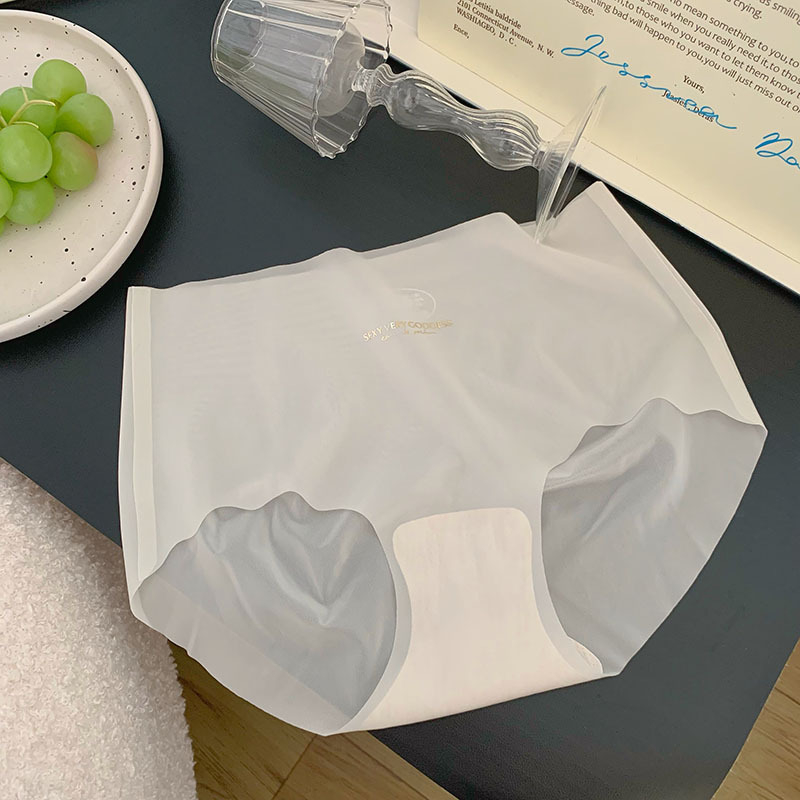 SET 10 Quần lót nữ su lưới tàng hình mềm mịn, siêu nhẹ, thông hơi, thoáng mát, mặc như không mặc 2276