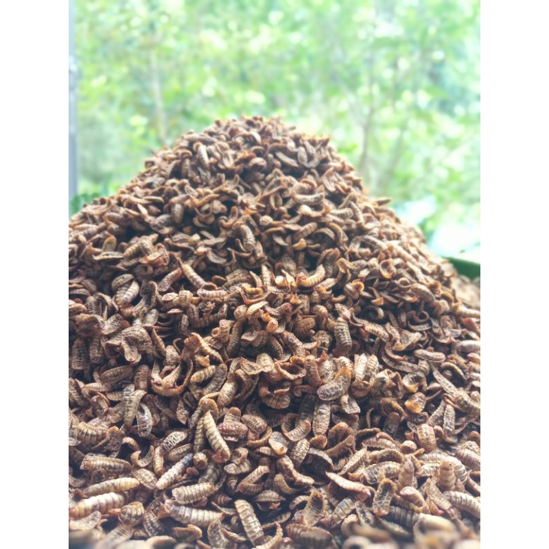 Sâu canxi sấy khô 100g thức ăn cho chim, cá, sóc bay,...vv