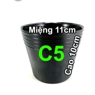 Chậu nhựa dẻo cỡ C5