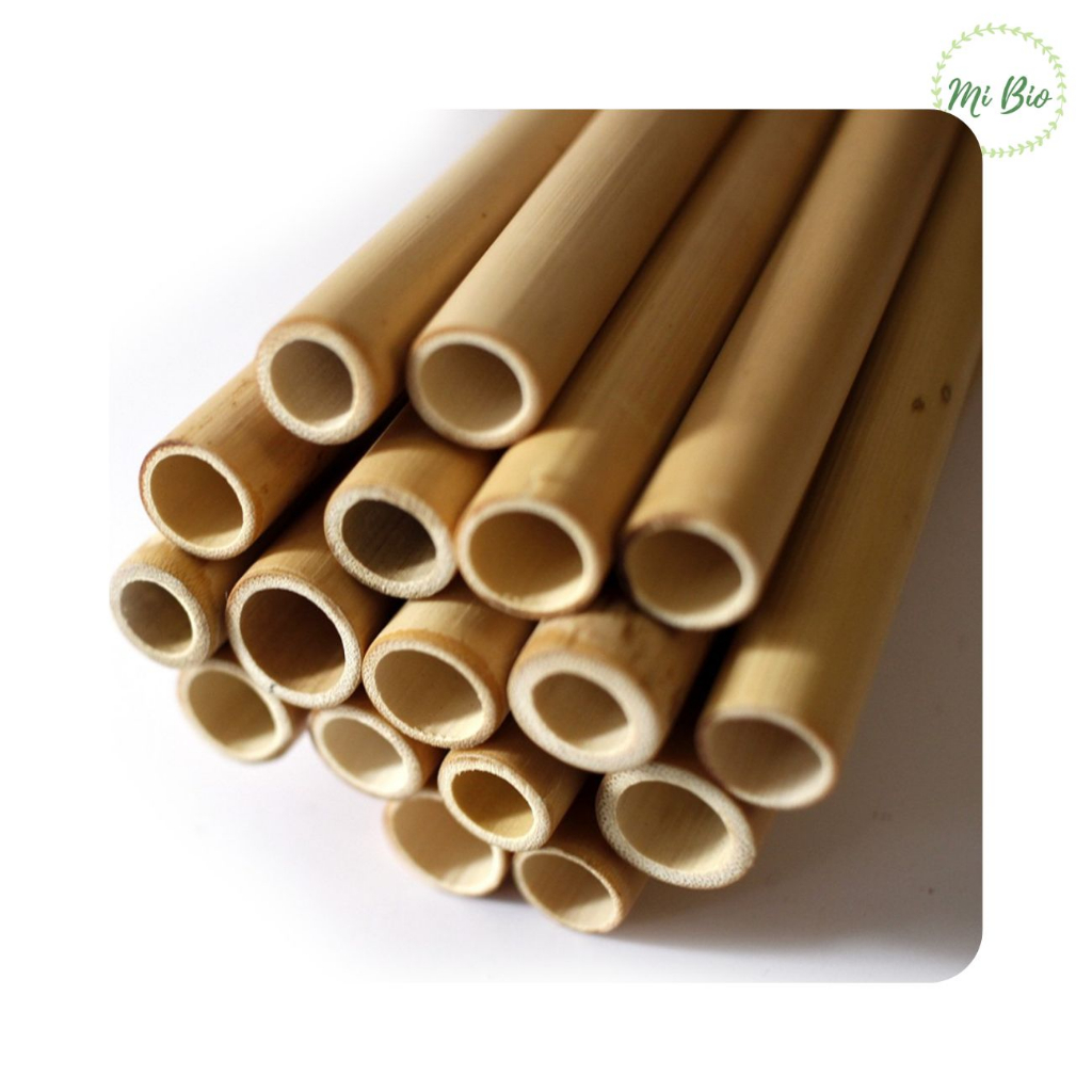 Ống hút tre thiên nhiên - One4One