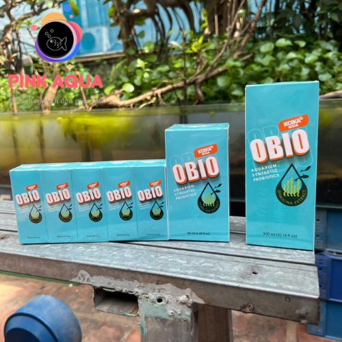 Men vi sinh KOIKA OBIO  - Vi sinh thơm nhất hiện tại
