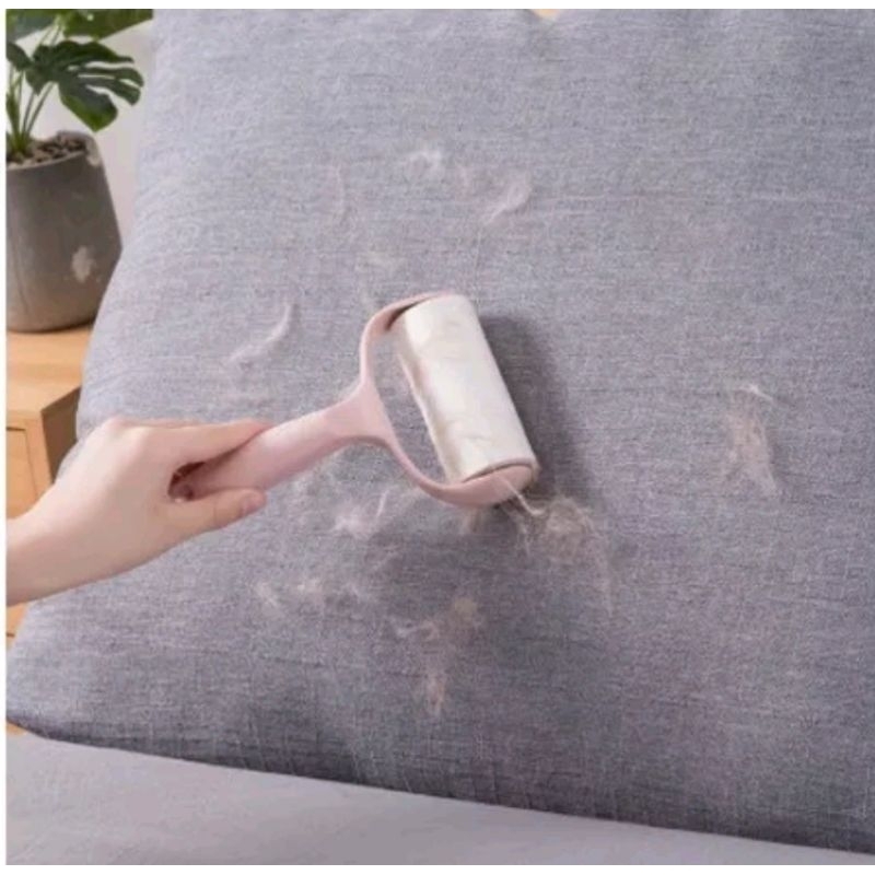 CÂY LĂN BỤI , TÓC , LÔNG CHÓ , MÈO