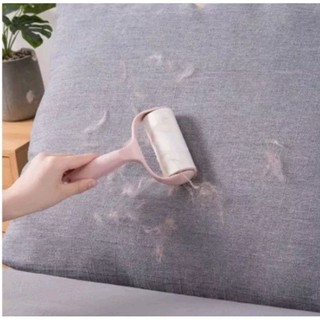 CÂY LĂN BỤI , TÓC , LÔNG CHÓ , MÈO