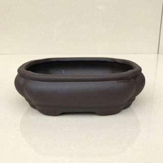 Chậu Áng mây trồng cây cảnh bonsai sen đá màu đen SP289