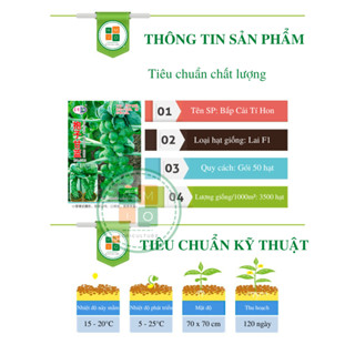 Hạt giống bắp cải tí hon mini F1 - Giàu dinh dưỡng