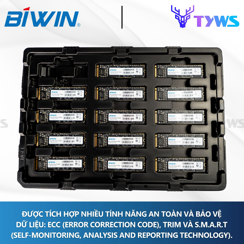 Ổ Cứng SSD BIWIN HP SP423 256GB M.2 NVMe PCIe Gen 3x4 - Bảo hành 1 đổi 1 HPSP423256GB