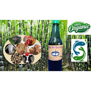 Rỉ Mật Đường BIOBO 1Kg