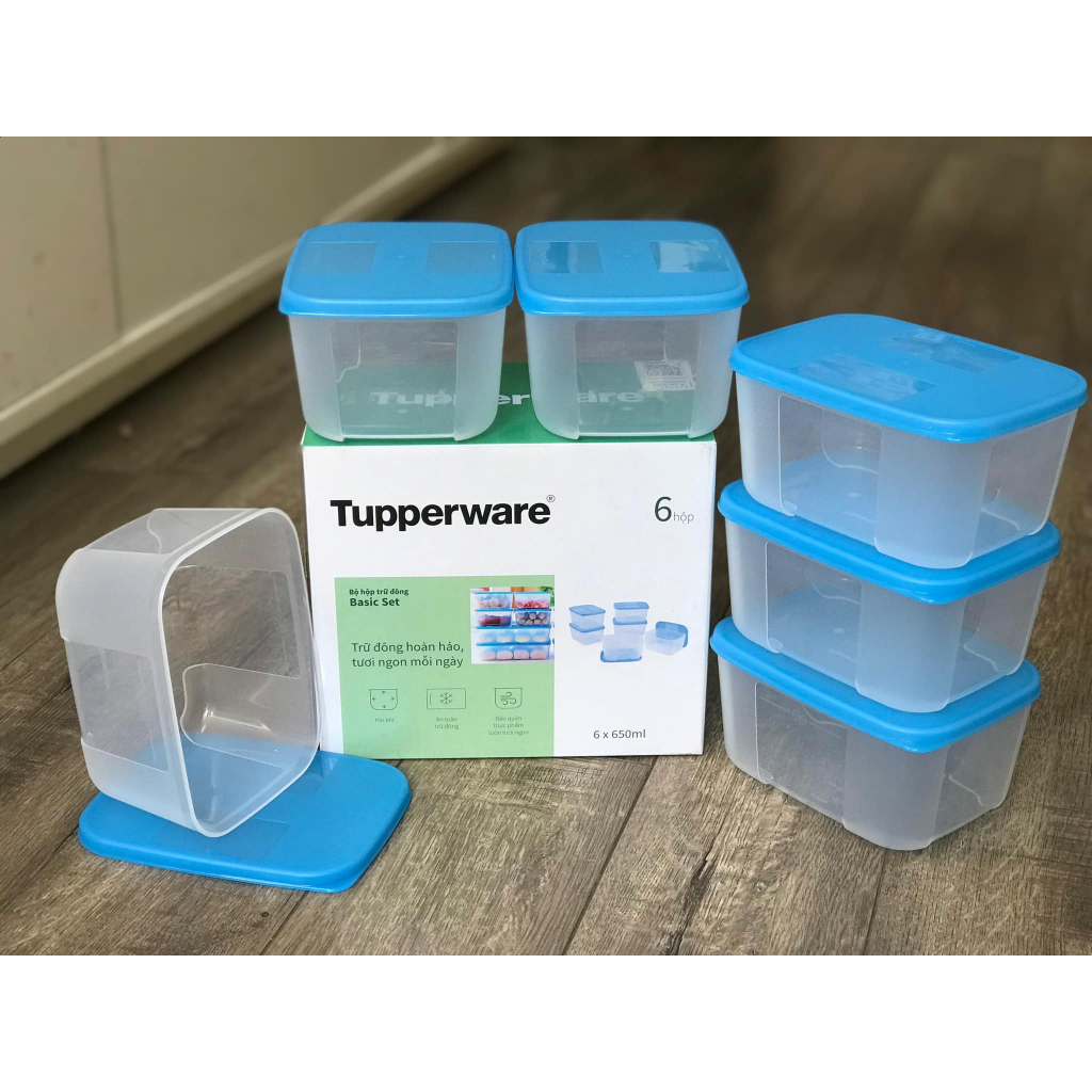 Bộ Hộp Trữ ĐôngTupperware 650ml