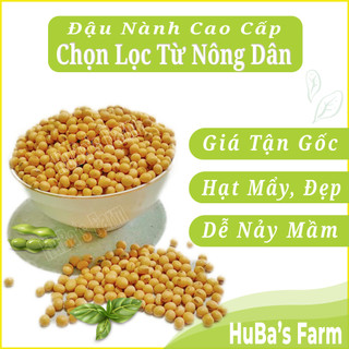 Mix hạt đậu làm giá, đỗ xanh làm giá, dễ lên mầm, đậu dinh dưỡng cao, đậu HuBa's Farm
