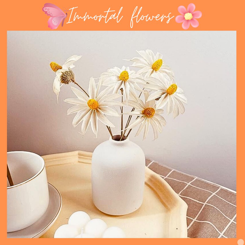 Cành Hoa Mộc Lan Khô Màu Trắng Decor, Trang Trí Nhà Cửa