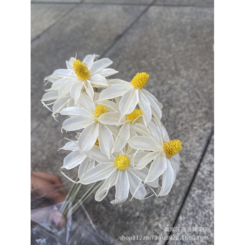 Cành Hoa Mộc Lan Khô Màu Trắng Decor, Trang Trí Nhà Cửa