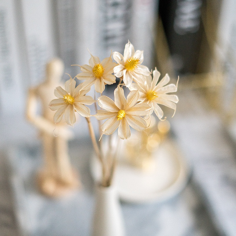 Cành Hoa Mộc Lan Khô Màu Trắng Decor, Trang Trí Nhà Cửa