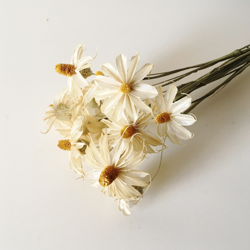 Cành Hoa Mộc Lan Khô Màu Trắng Decor, Trang Trí Nhà Cửa
