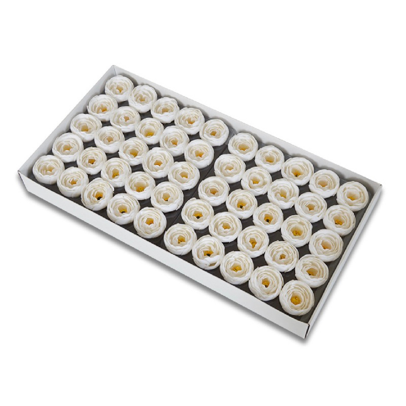 Hoa sáp mao lương