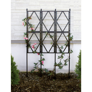 Khung giàn hoa hồng leo rộng 60 cao 120cm Daim chuyên trồng cây leo