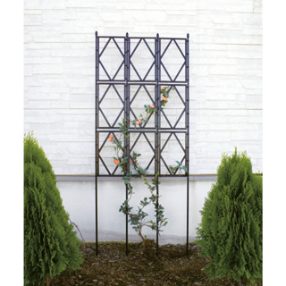 Khung giàn hoa hồng leo rộng 60cm cao 180cm Daim