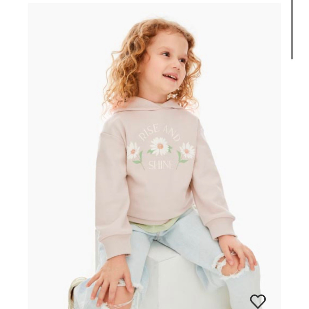 Áo thu đông bé gái hoodie dư xịn 3 bông hoa