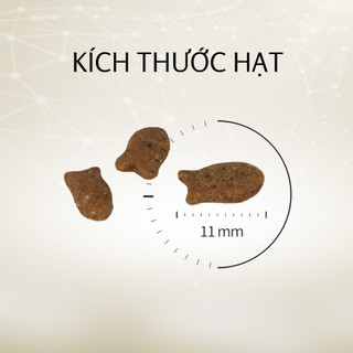 (KHI MUA 3 TẶNG 1 gói 400g) (400G-1.5KG) CAT'S EYE PREMIUM - Thức ăn hạt dành cho mèo mọi lứa tuổi