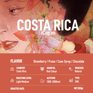 Cà phê ngoại Costa Rica Don Claudio Natural - iCup Roaster