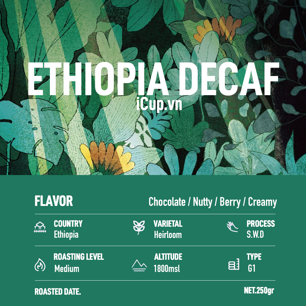Cà phê Ethiopia Sidamo – iCup Roaster | Khử caffeine Swiss Water