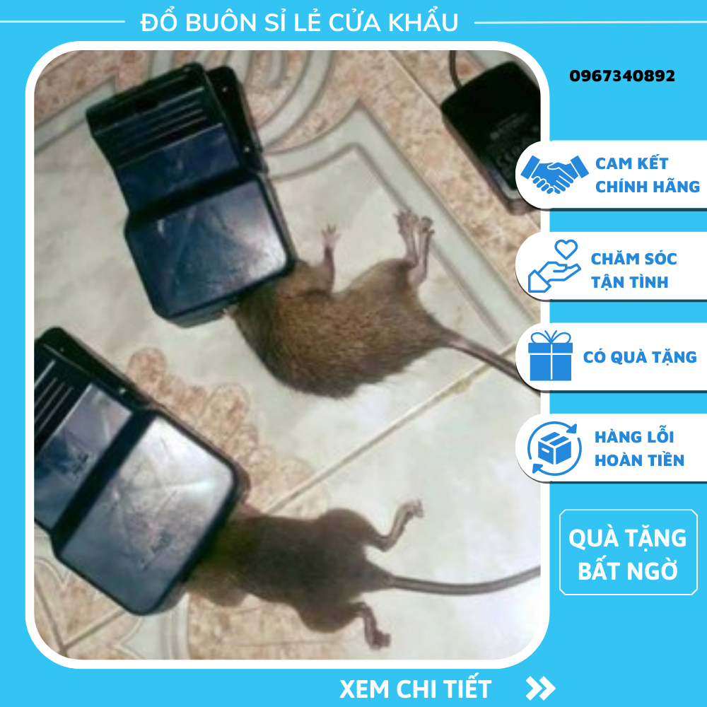 Bẫy chuột đen thông minh