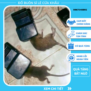 Bẫy chuột đen thông minh