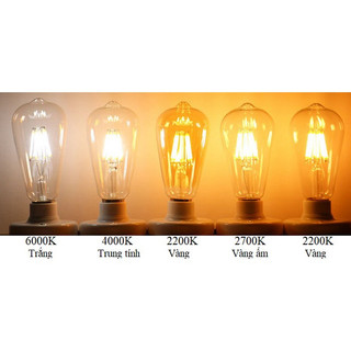 Bóng Đèn Led Edison ST64 6W Đui E27 HL Studio
