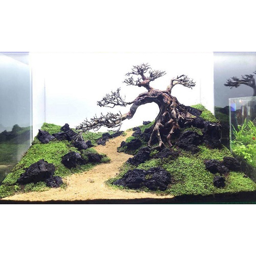 Đá Đen Gia Lai Trang Trí, Tạo Layout Terrarium - Cỡ Vừa 7cm