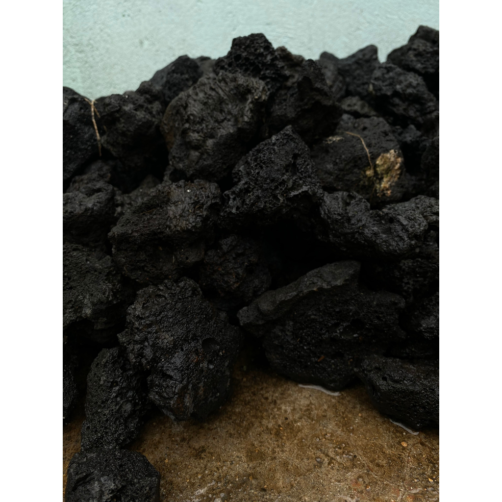 Đá Đen Gia Lai Trang Trí, Tạo Layout Terrarium - Cỡ Vừa 7cm