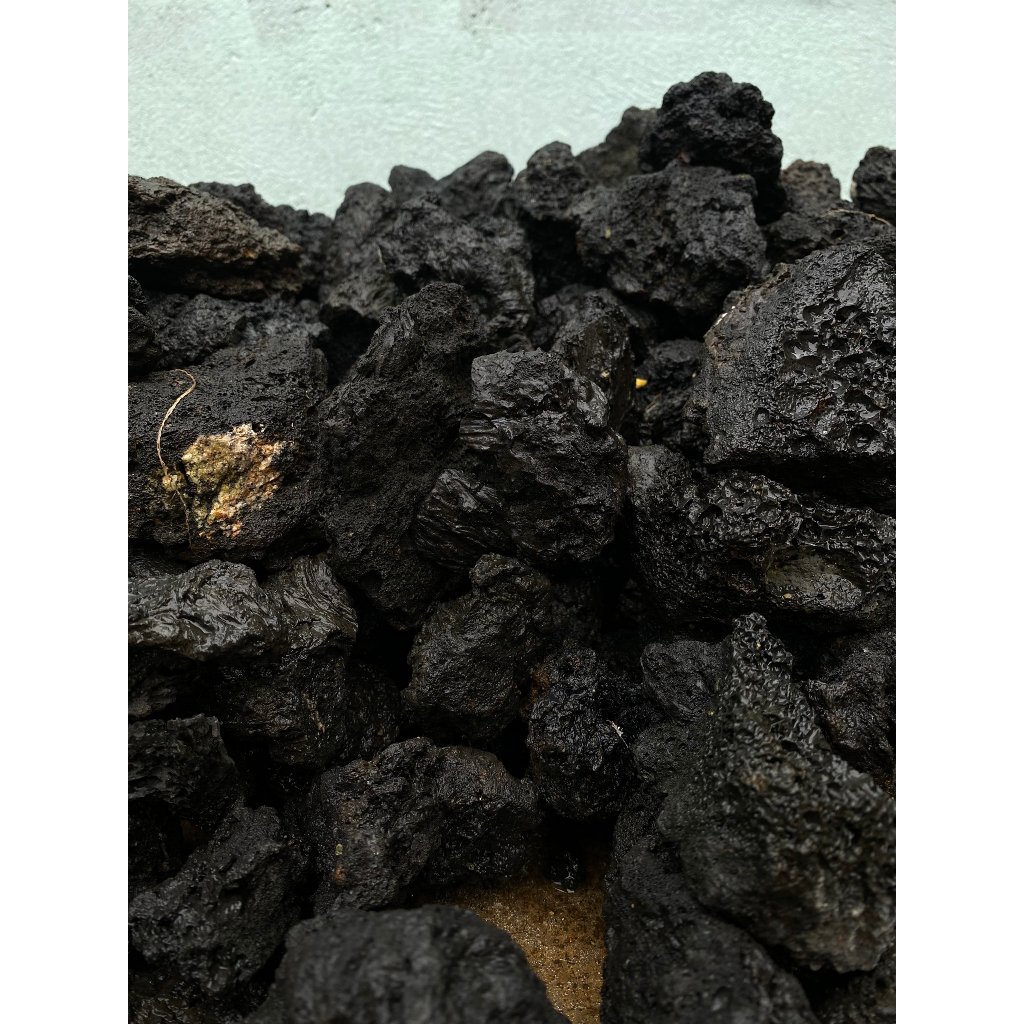 Đá Đen Gia Lai Trang Trí, Tạo Layout Terrarium - Cỡ Vừa 7cm