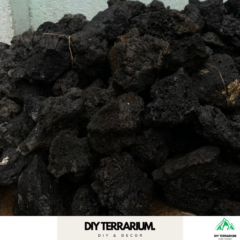 Đá Đen Gia Lai Trang Trí, Tạo Layout Terrarium - Cỡ Vừa 7cm