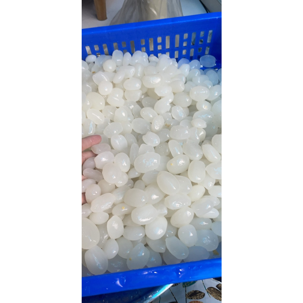 1KG HẠT ĐÁC TƯƠI SẠCH-DẺO NGON- SIZE LỚN