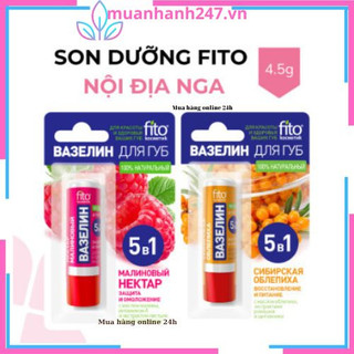 Son dưỡng môi Fito trái cây & 5in1 & son dưỡng có màu