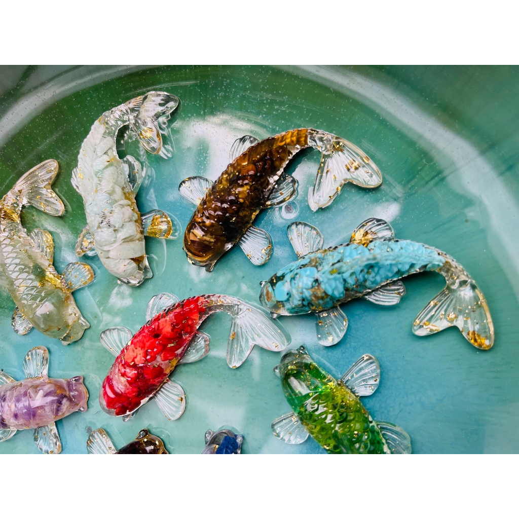 Cá Koi phong thủy  - Cá koi đá thạch anh thả bát thả hoa, cá koi thả bát minh đường tụ thủy