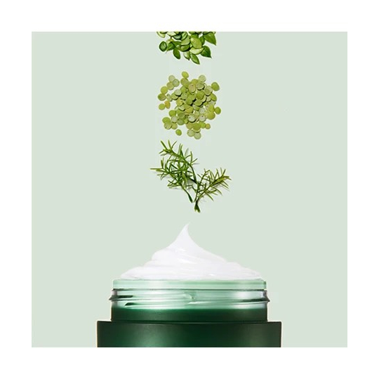 MẶT NẠ NGỦ LANEIGE