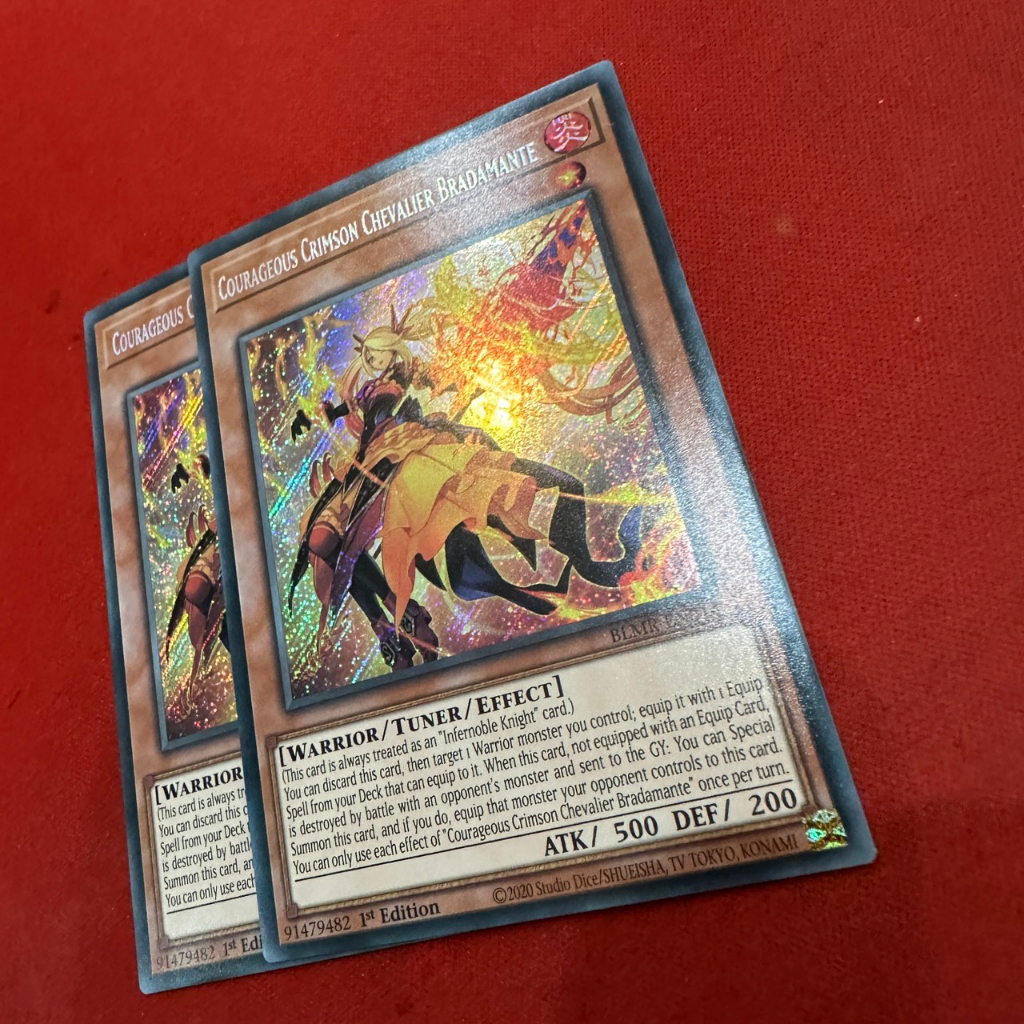 Courageous Crimson Chevalier Bradamante