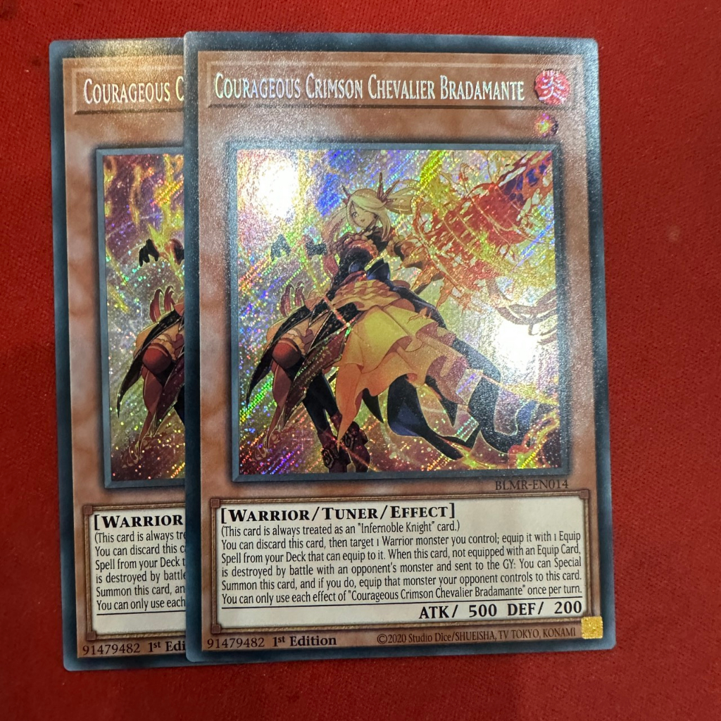 Courageous Crimson Chevalier Bradamante