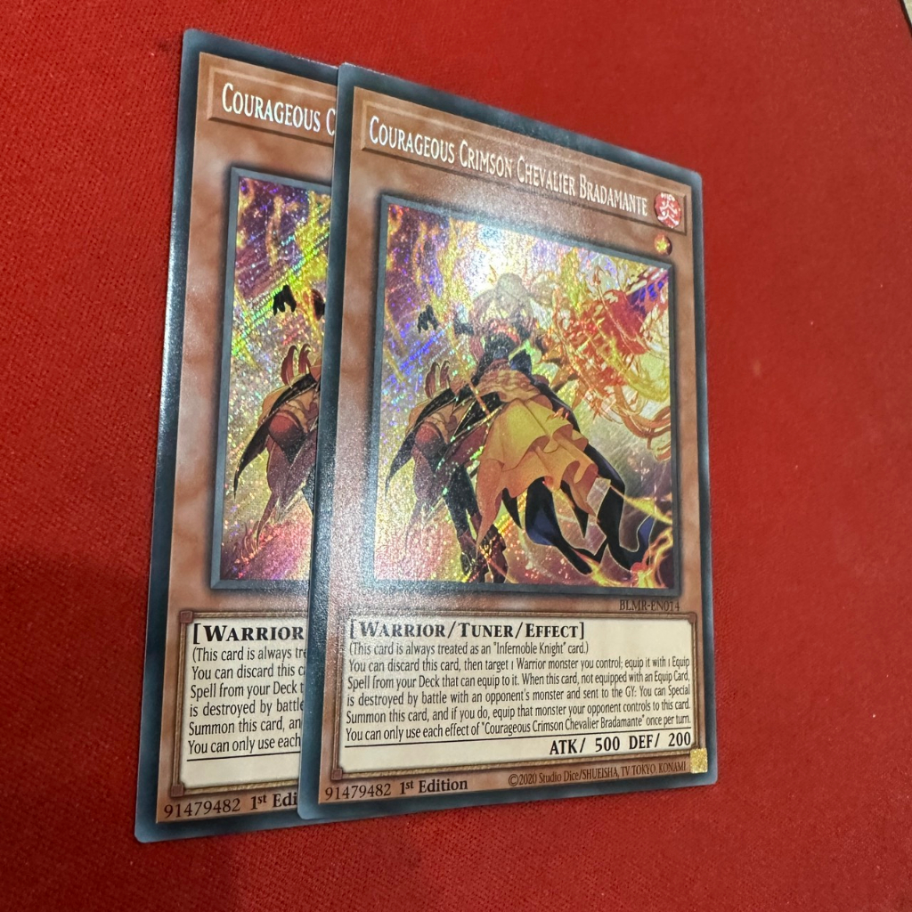 Courageous Crimson Chevalier Bradamante