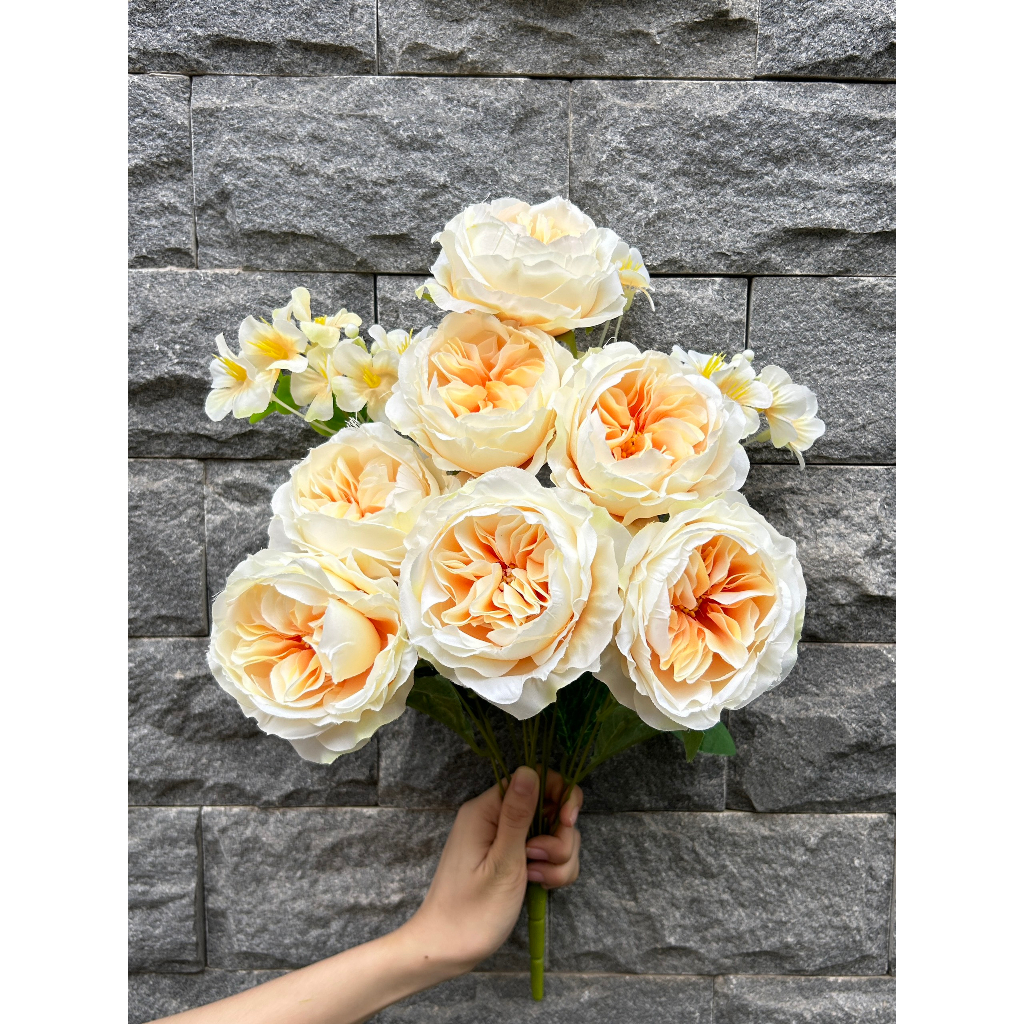 Bụi hoa hồng ohara 7 bông