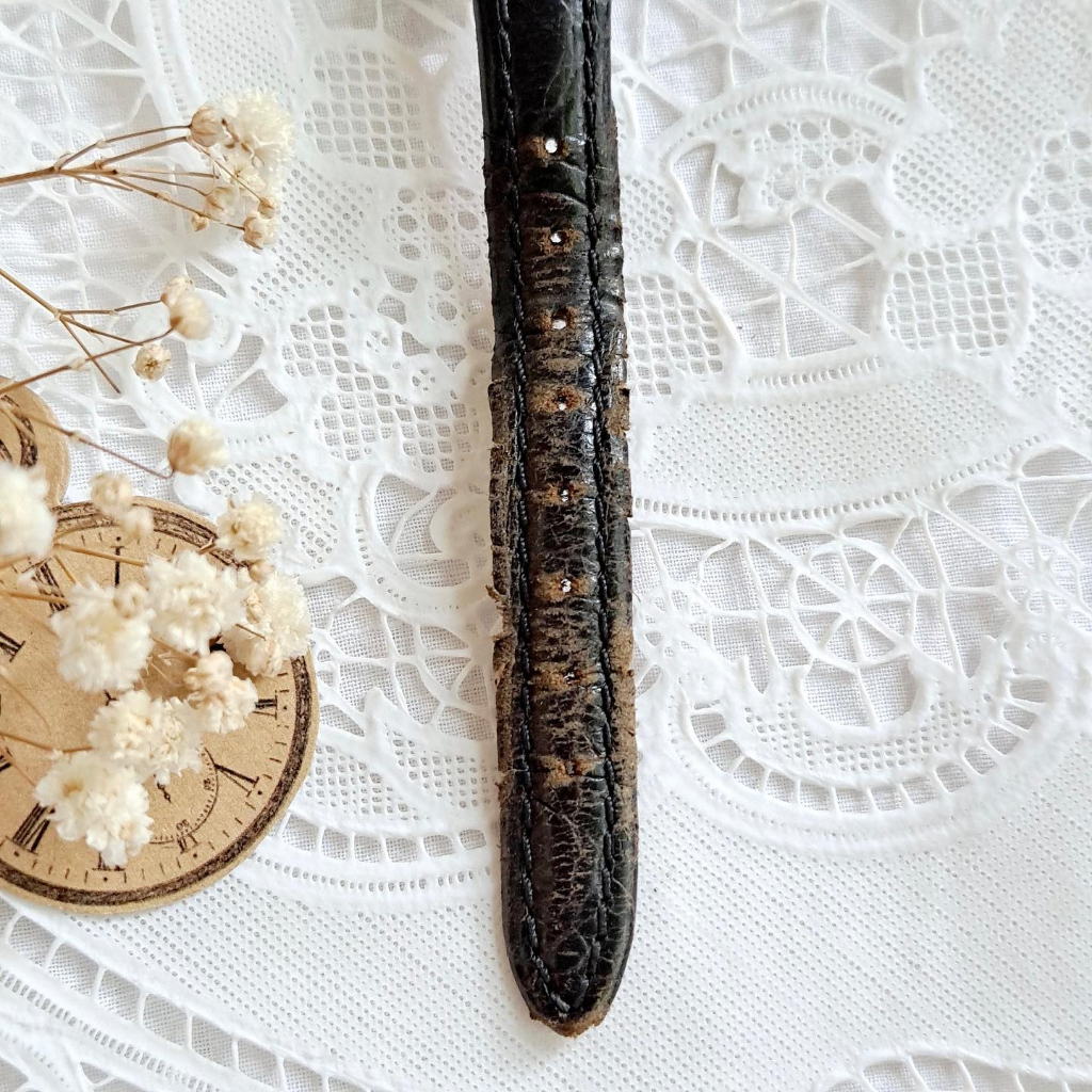 Đồng hồ Si Nhật - Nữ - GCA - Japan Movt