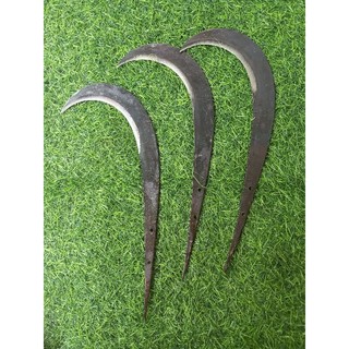 câu liêm giựt nhánh cây