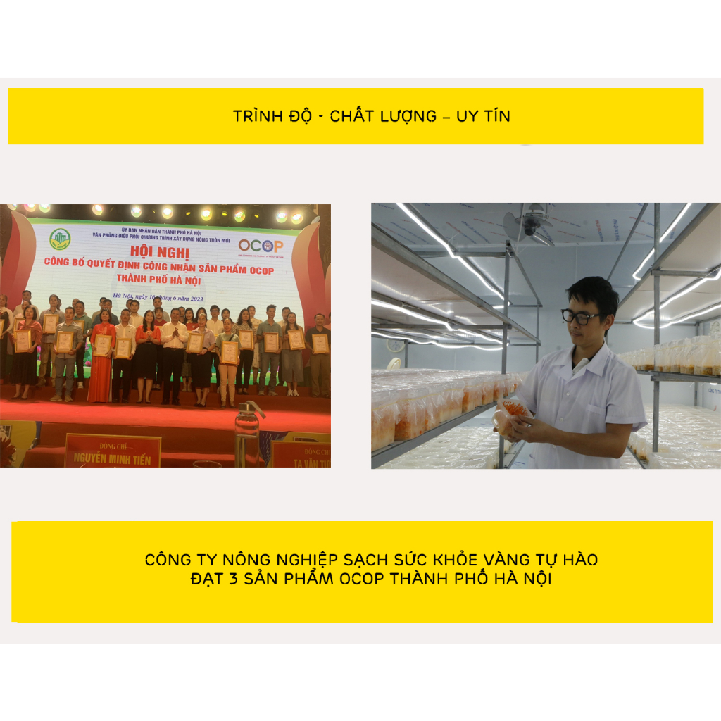 Đông trùng hạ thảo tươi 200gr mua 3 tặng 1, hàng dược chất cao, nuôi trồng 70 ngày