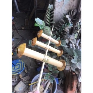 sáo diều D22