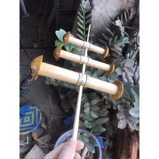 Sáo diều d22