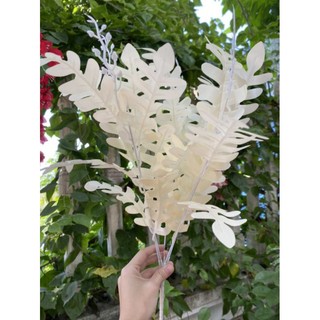 Cụm lá xương cá 5 nhánh