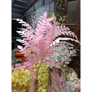 Cụm lá xương cá 5 nhánh