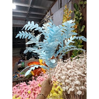 Cụm lá xương cá 5 nhánh