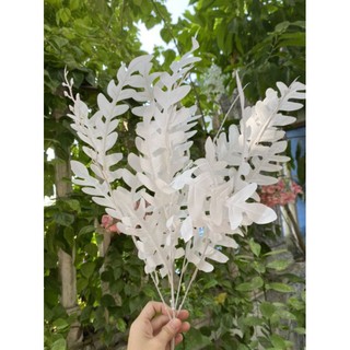 Cụm lá xương cá 5 nhánh