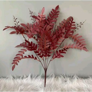 Cụm lá xương cá 5 nhánh